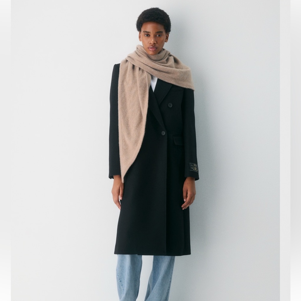 Babaton aritzia the constant coat